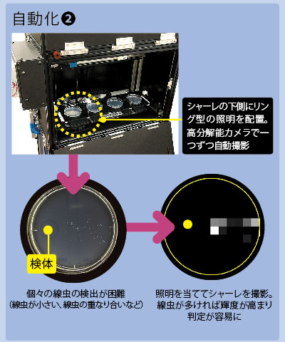 がん検査は「線虫」にお任せ:日経ビジネス電子版 がん検査は「線虫」にお任せ:日経ビジネス電子版