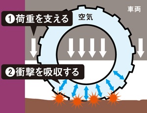空気はバネのような役割を果たす<br />●空気入りタイヤの断面イメージ図