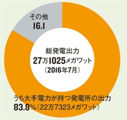 大手電力会社の比率は8割超<br/>●電気事業者ごとの発電出力の割合