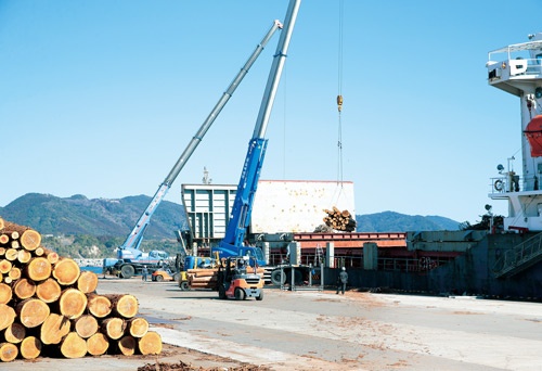 <b>鹿児島県志布志市にある志布志港は日本最大の木材輸出港だ。山積みされた丸太がクレーンで次々にバルク船に運ばれる</b>(写真=小森園 豪)