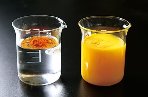 <b>セラクルミン（写真右）は水溶性が高く通常のクルクミン（左）に比べて約27倍の吸収率がある</b>（写真＝陶山 勉）
