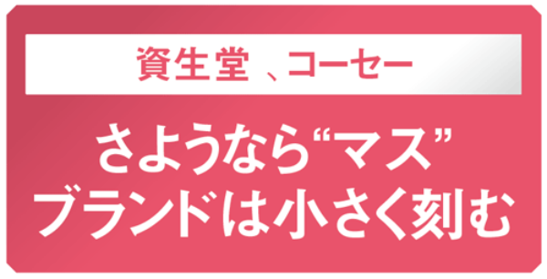 カギは スモールマス 新機軸で市場は無限 日経ビジネス電子版 カギは スモールマス 新機軸で市場は無限 日経ビジネス電子版