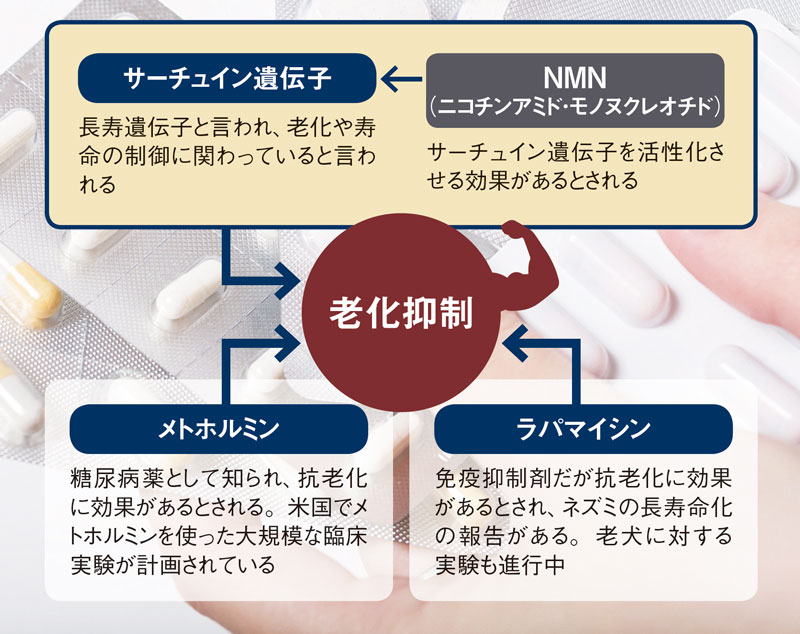 IT長者も巨額資金、「不老薬」は近い？：日経ビジネス電子版