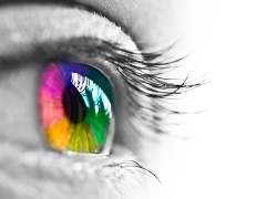 会計も野球も「かち」で評価