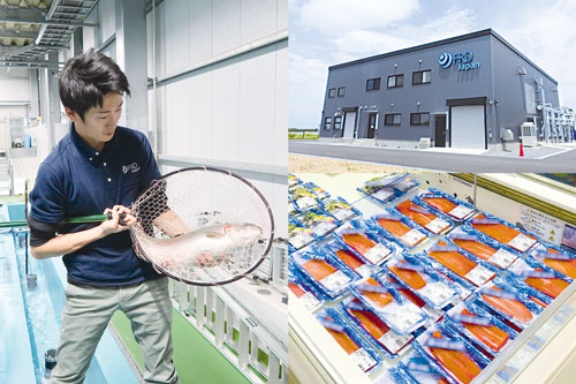 ジャパン frd 水替え不要の陸上養殖で育った千葉県産生サーモン「おかそだち」をコープみらいにて発売。｜株式会社FRDジャパンのプレスリリース
