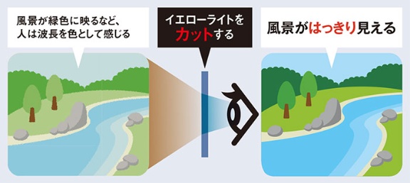 五感に働きかけ価値向上 居心地を高める 空間テック 日経ビジネス電子版 五感に働きかけ価値向上 居心地を高める 空間テック 日経ビジネス電子版