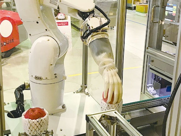 桃もつかめる食品ロボットも展開 技術と提案力で攻める 日経ビジネス電子版