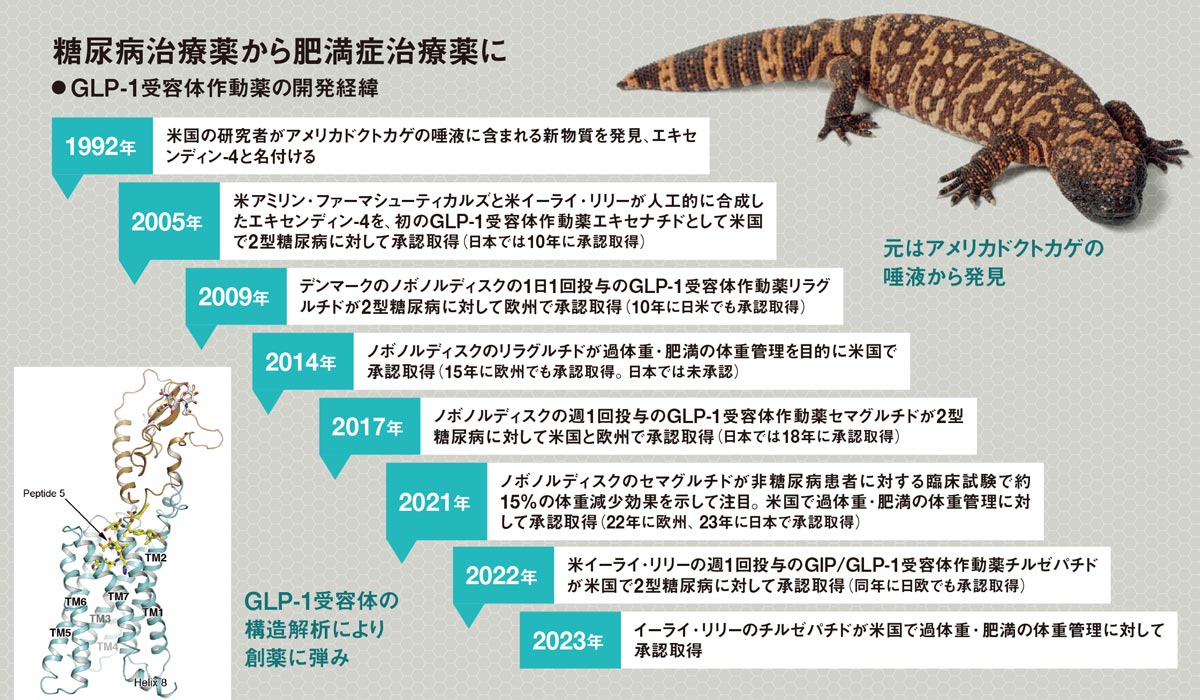 glp 1 アメリカ 有力な肥満症治療薬が登場 高い減量効果により市場が活性：日経ビジネス電子版