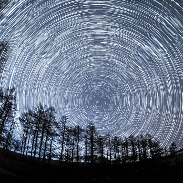 パーパスを生かす経営　企業戦略を導く「北極星」