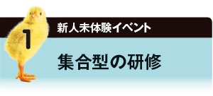 集合型の研修