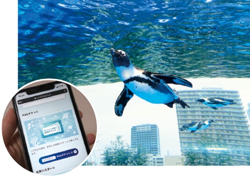 <span class="fontBold">サンシャイン水族館はウェブ上で日時指定できるチケットの販売を始めた</span>