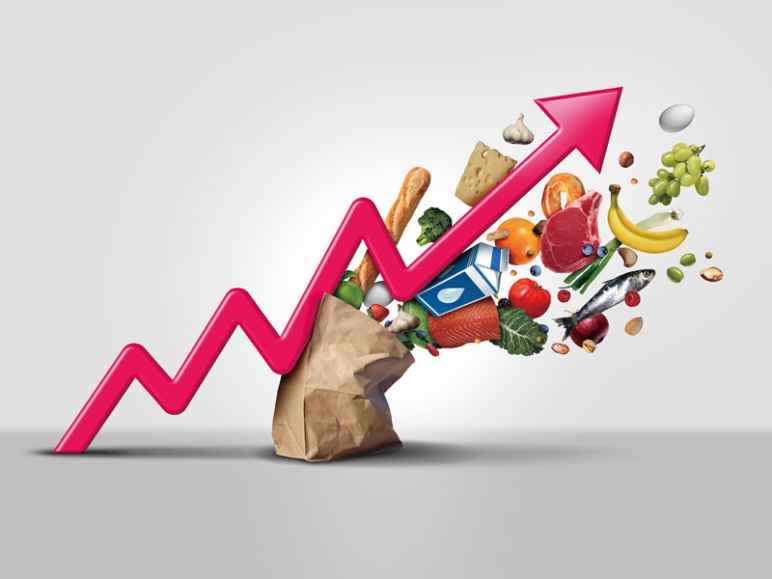 22年5月16日号 日経ビジネス電子版 22年5月16日号 日経ビジネス電子版