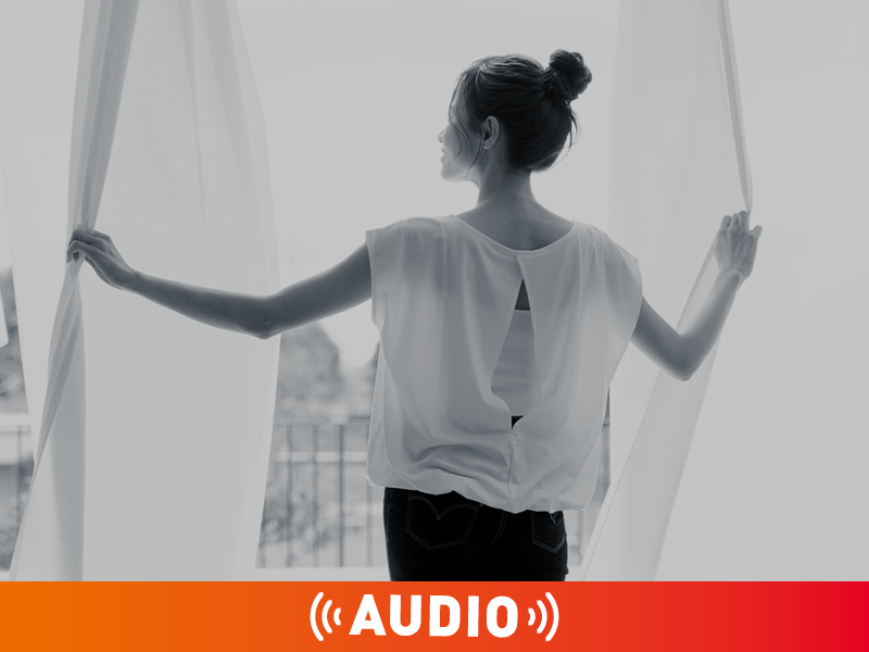 アニメ後発でソニーに並んだ東宝／家電がAIで復権の兆し／造船業への警鐘（2026年1月28日版）