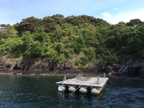 浮き桟橋が設けられた散骨島。ここから崖を上がって島の上部で散骨する。