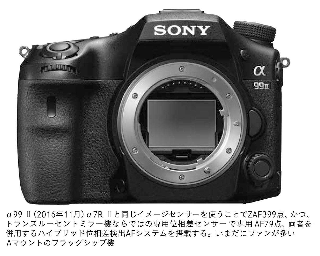 ソニーのミラーレス、ついに「真打ち」登場：日経ビジネス電子版