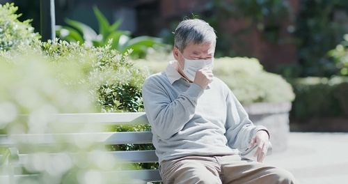 (写真:shutterstock)