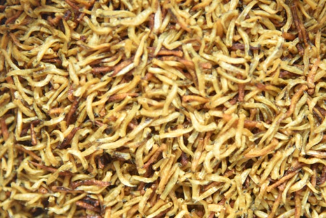 日本の ウジ虫 が世界の食料危機を救う 日経ビジネス電子版 日本の ウジ虫 が世界の食料危機を救う 日経ビジネス電子版