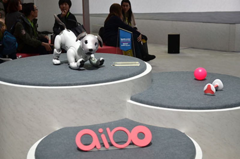 Aibo 復活は正解だった 生みの親ソニー川西氏が語る 日経ビジネス電子版 Aibo 復活は正解だった 生みの親ソニー川西氏が語る 日経ビジネス電子版