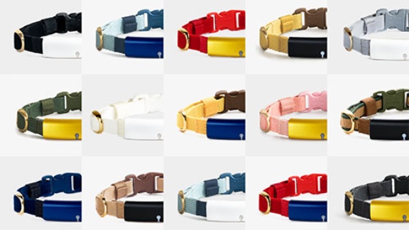 データで愛しさ倍増 猫の行動知らせる首輪デバイス キャトログ 日経ビジネス電子版 データで愛しさ倍増 猫の行動知らせる首輪デバイス キャトログ 日経ビジネス電子版