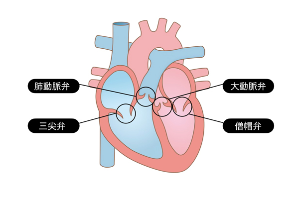 AD】循環器疾患の革新的治療の提供に全力を尽くす：日経ビジネス電子版