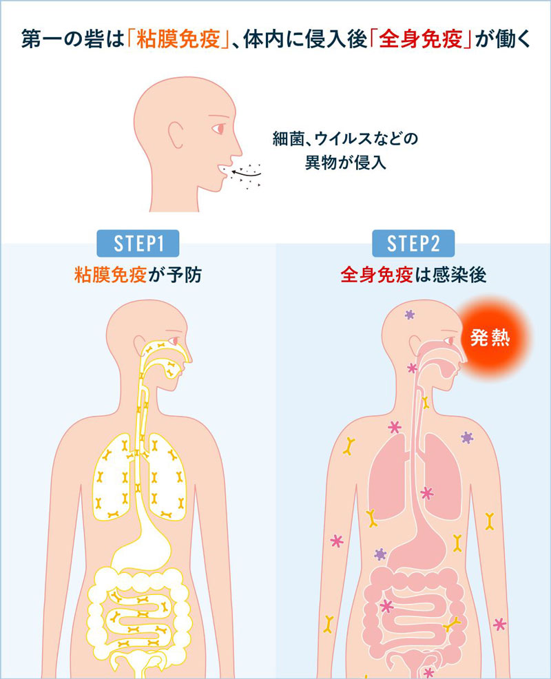 臨床粘膜免疫学 素敵でユニークな 本・音楽・ゲーム | aaronscatering