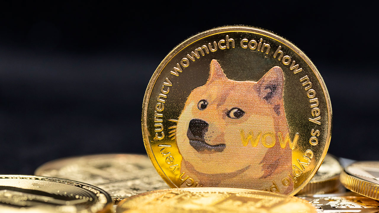 doge 米政府揺さぶるイーロン・マスクの「DOGE」 効率化の手法・成果に賛否：日経ビジネス電子版
