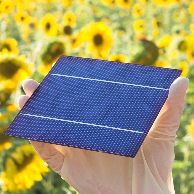 日本発のペロブスカイト太陽電池　近づく量産化に向け高まる期待と課題