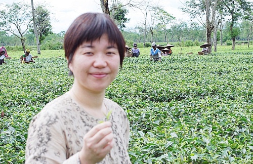 藻谷氏は、ハーバード時代に知り合ったインド人の知人を通して、紅茶の通信販売業を始めた(現在は事業譲渡済み)。紅茶は比較的小さなロットで取引されるため、工夫次第で個人でも大手に負けない商売ができるという