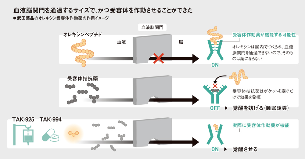 武田薬品のリストラの舞台 湘南研 再び革新の揺りかごに 2ページ目 日経ビジネス電子版