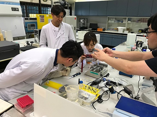 シンガポールで進む実証実験の様子