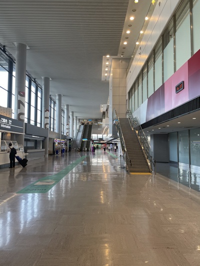 荷物を受け取り、外に出る。多くの店舗が閉鎖され閑散とする成田国際空港