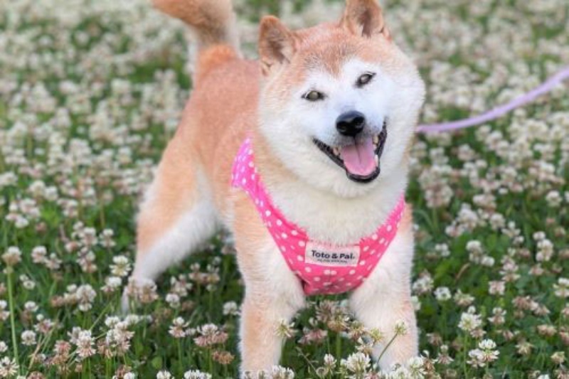 仮想通貨は 安い 方がいい 大暴落でも気分爽快なワケ 日経ビジネス電子版 仮想通貨は 安い 方がいい 大暴落でも気分爽快なワケ 日経ビジネス電子版