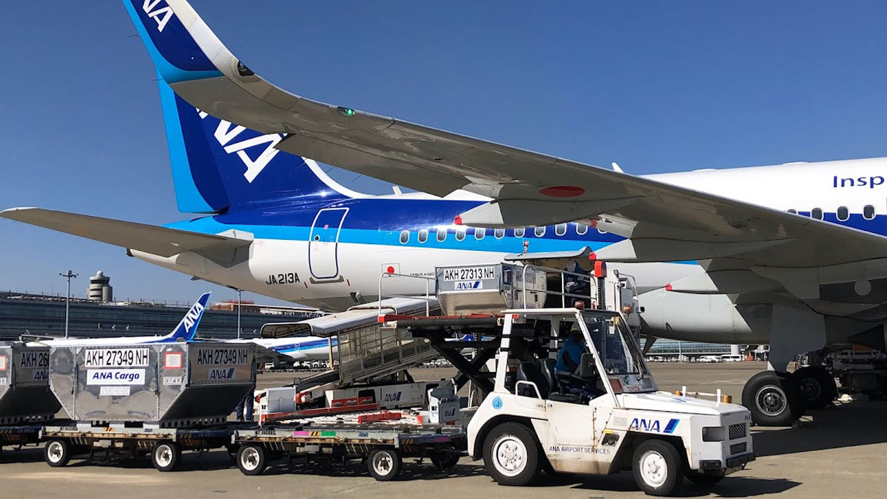 ANA、トラック輸送より安い航空貨物 2024年問題緩和へ貨物室フル活用：日経ビジネス電子版
