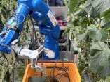 安川電機、キュウリとの格闘の先にあるロボットの未来