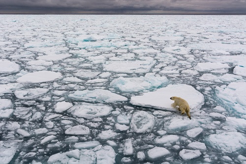 北極海の氷は急速に減少している（写真：AP／アフロ）