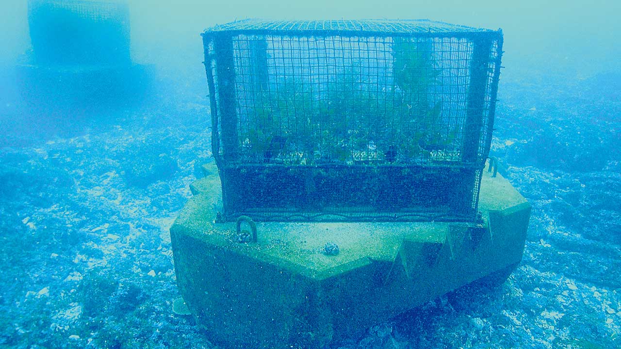 s1280.jpg?__scale=w:1280,h:720