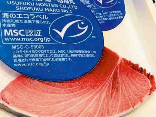 臼福本店(宮城県気仙沼市)は世界で初めて、タイセイヨウクロマグロでMSC漁業認証を取得した。マグロ1匹ごとに来歴を示す電子タグも付けて出荷している(写真:臼福本店)