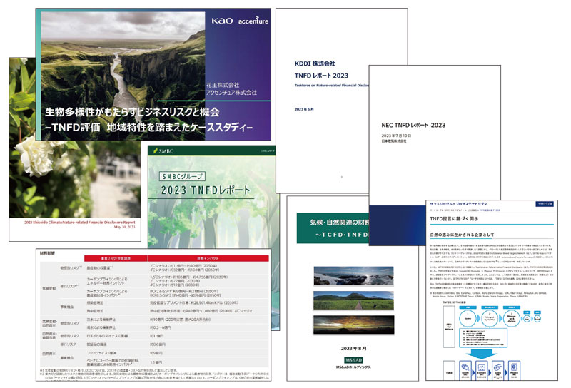 各社がTNFD枠組みの試作版を使った開示に乗り出している。キリングループ（左下）は統合開示を試みた。24～25年は正式版を使った開示が本格化する