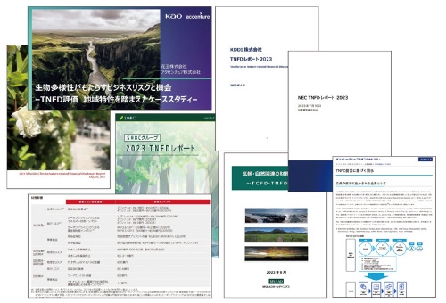 各社がTNFD枠組みの試作版を使った開示に乗り出している。キリングループ(左下)は統合開示を試みた。24~25年は正式版を使った開示が本格化する
