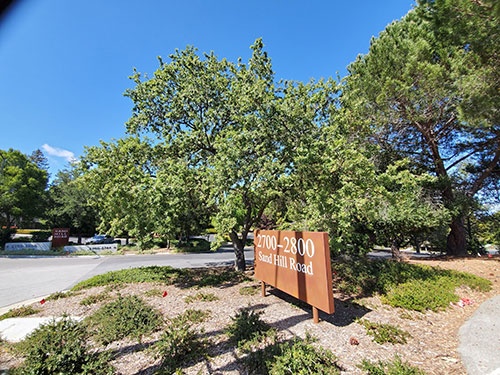 セコイア・キャピタルなどの有力VCの多くがオフィスを構える「サンドヒル」地域。名門私大のスタンフォード大学も近い（米カリフォルニア州メンローパーク市）