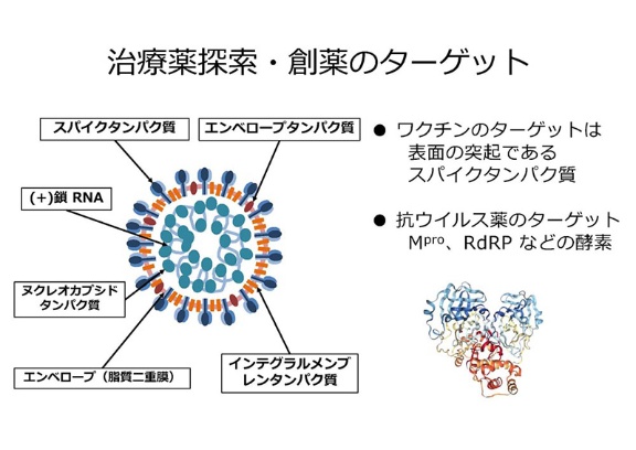専門家に根掘り葉掘り 新型コロナの薬 ワクチン 検査 日経ビジネス電子版