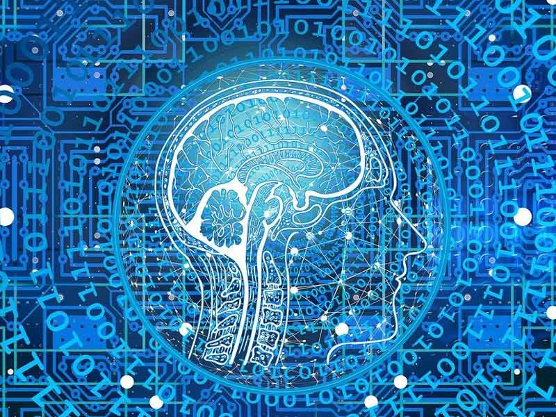 スケールフリーネットワーク 日経ビジネス電子版 スケールフリーネットワーク 日経ビジネス電子版