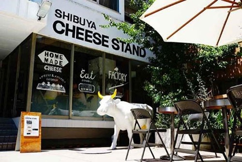 出来たてのフレッシュチーズが味わえるSHIBUYA CHEESE STAND