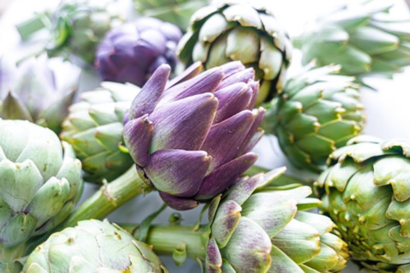 労働時間は1日4時間 レジェンドが育てる アートな野菜 4ページ目 日経ビジネス電子版 労働時間は1日4時間 レジェンドが育てる アートな野菜 4ページ目 日経ビジネス電子版