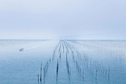日本一の海苔生産地、九州有明海