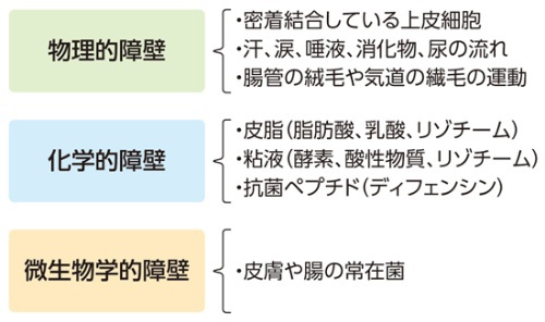 病原体の侵入を防ぐ「自然バリア」は3種類