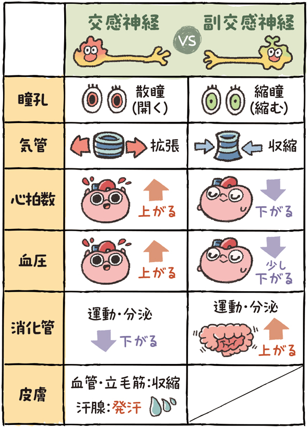 ヒートショック サウナ 違い