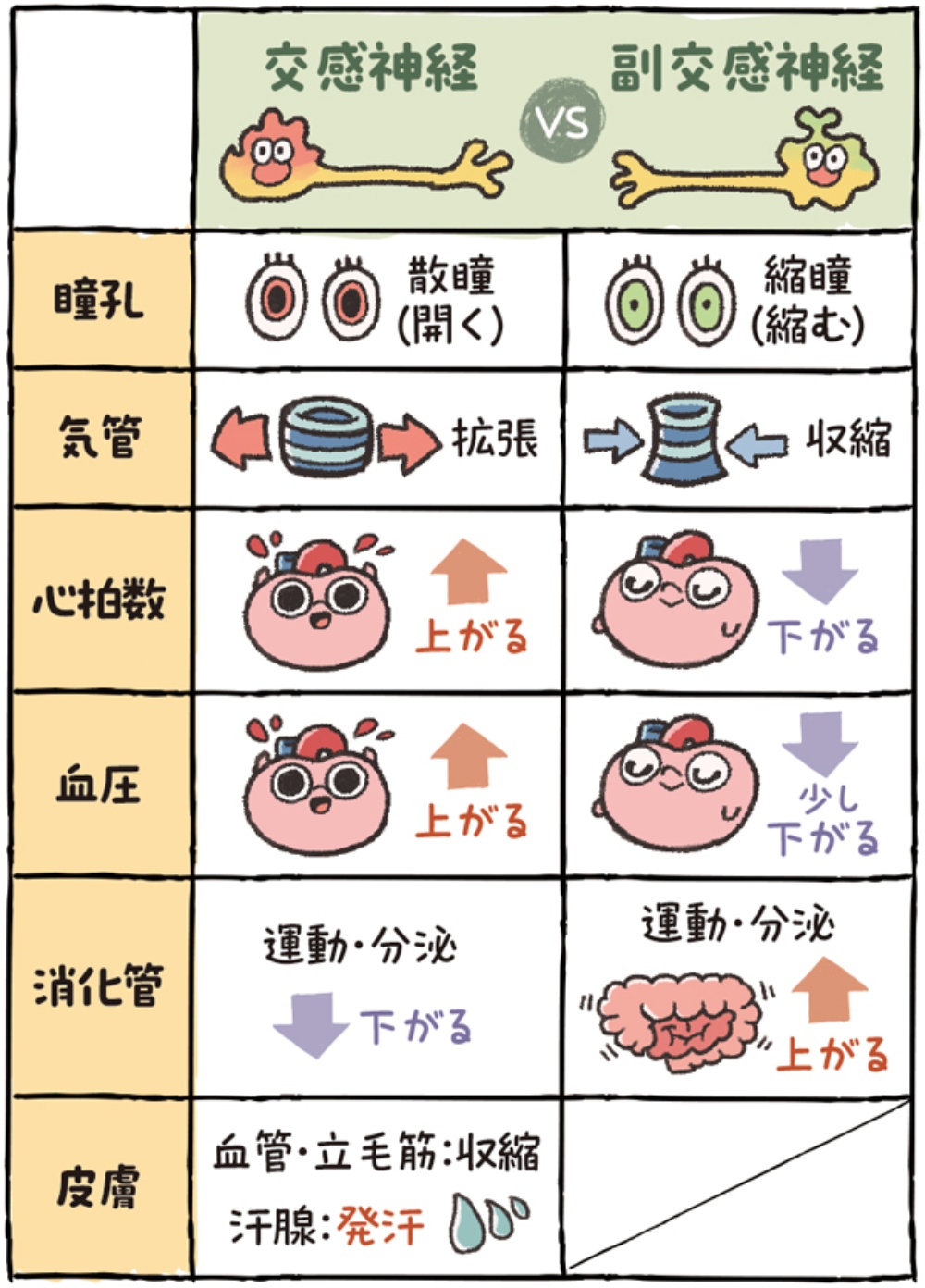 ヒートショック サウナ 違い