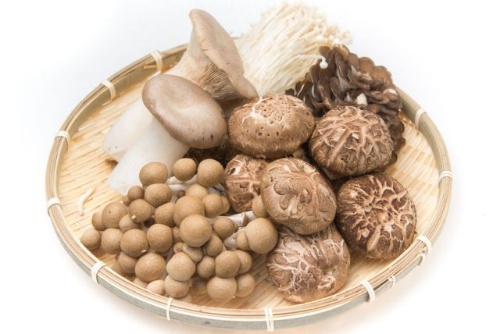 キノコをよく食べる人はがんのリスクが低くなる可能性が示されました。(写真=123RF)
