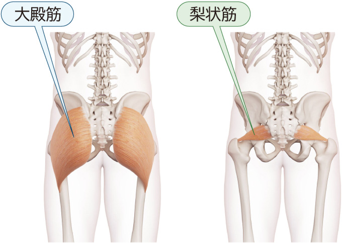 腰痛に効くストレッチ 『すごい股関節』の中野ジェームズ修一が伝授